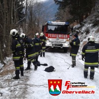 Technischer Einsatz - Fahrzeugbergung
