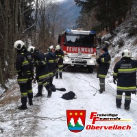 Technischer Einsatz - Fahrzeugbergung