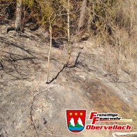 Bahnböschungsbrand Preisdorf