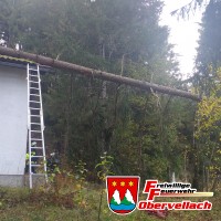 Baum auf Haus gestürzt