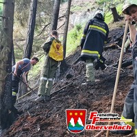 B2 Rauchentwicklung im freien -> B4 Waldbrand klein