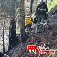 B2 Rauchentwicklung im freien -> B4 Waldbrand klein