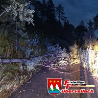 T-Unwetter 1, Baum auf Straße