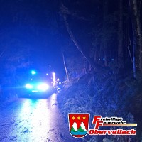 T-Unwetter 1, Baum auf Straße