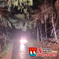 T-Unwetter 1, Baum auf Straße