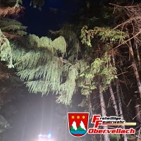 T-Unwetter 1, Baum auf Straße