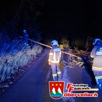 T-Unwetter 1, Baum auf Straße