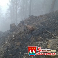 Waldbrand Plankogel