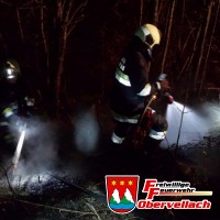 Bahnböschungsbrand Falkensteiner Brücke