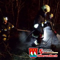 Bahnböschungsbrand Falkensteiner Brücke