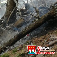 Waldbrand Roglgraben