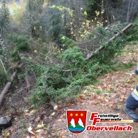 Hochwasser und Sturm 30.10.2018