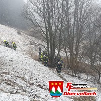 T-VU3, Fahrzeug abgestürzt