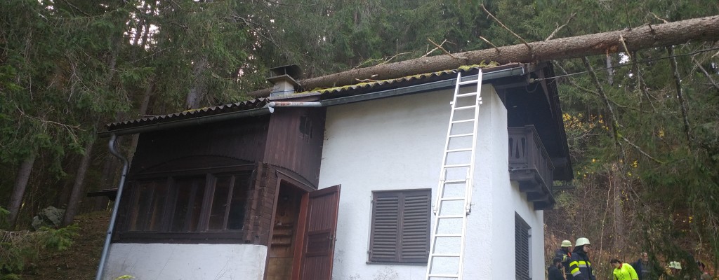 Baum auf Haus gestürzt