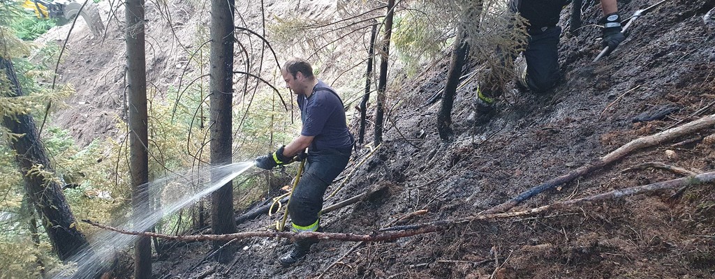 B2 Rauchentwicklung im freien -> B4 Waldbrand klein