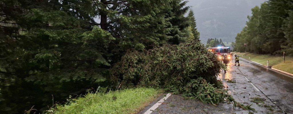 T-Unwetter 1, Baum auf Straße