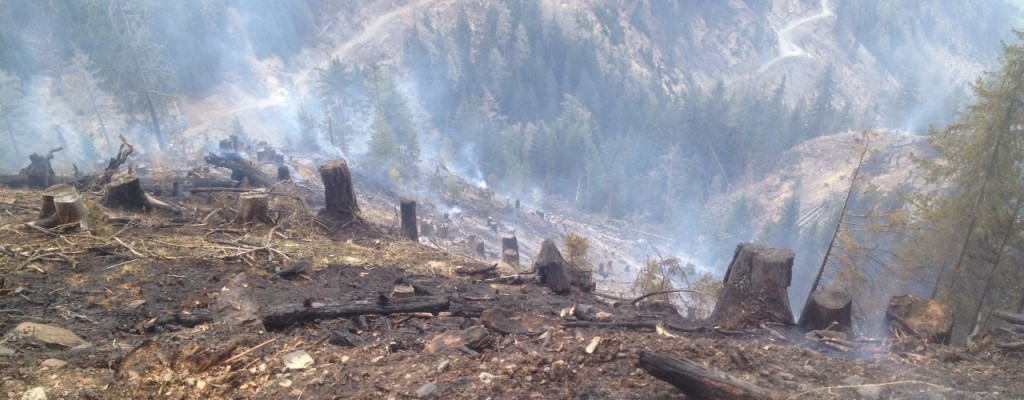 Waldbrand Plankogel