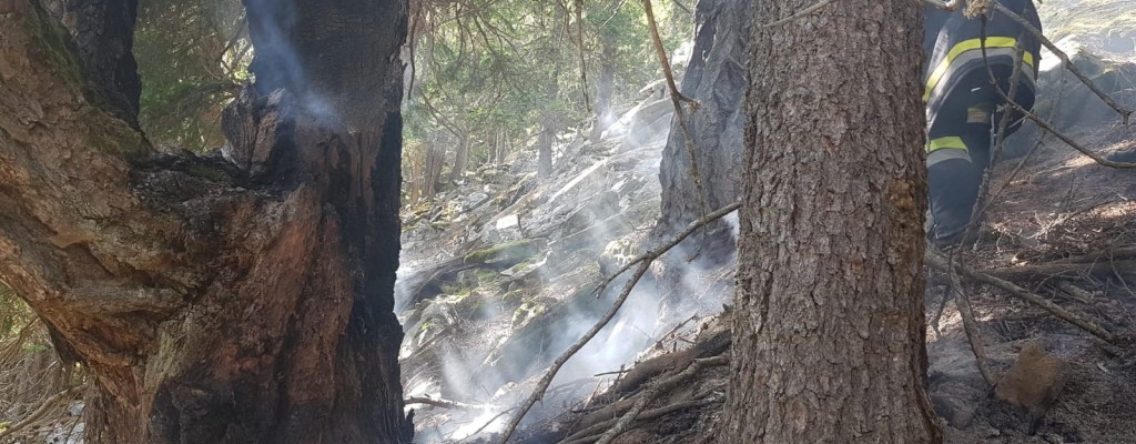 Waldbrand Roglgraben