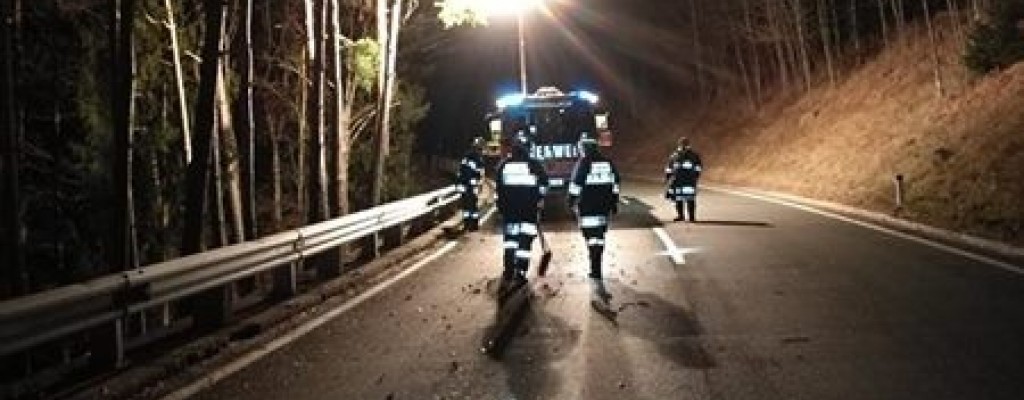 Technischer Einsatz - Bäume auf Straße